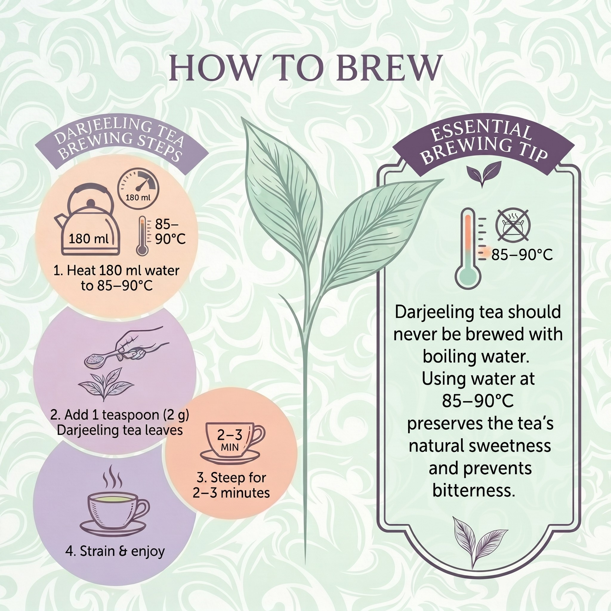 Darjeeling tea brewing instructions