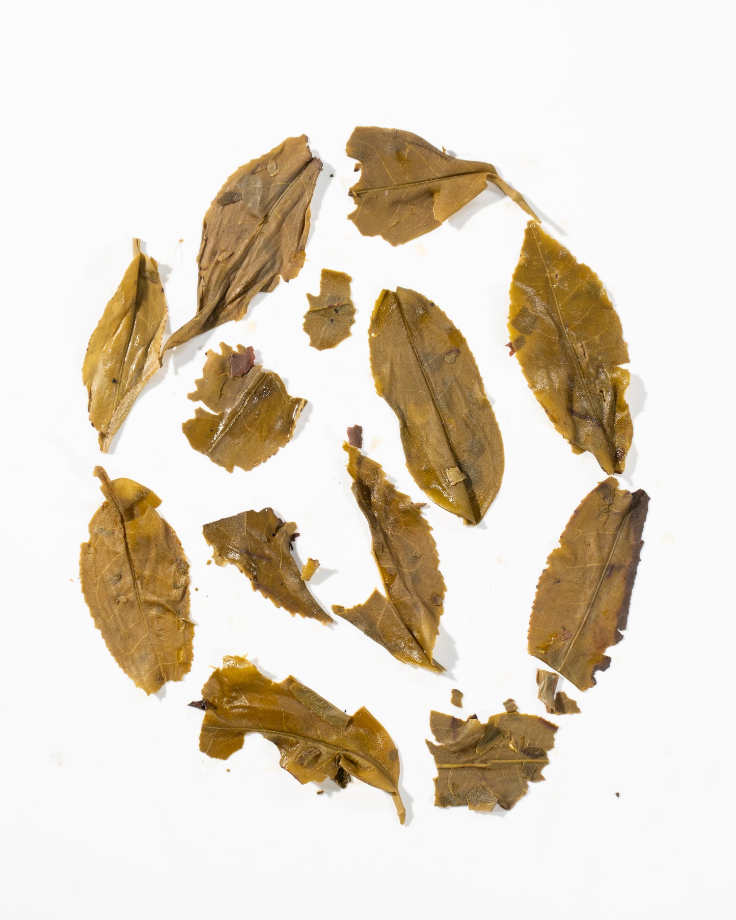 Green Symphony – Darjeeling Green Tea