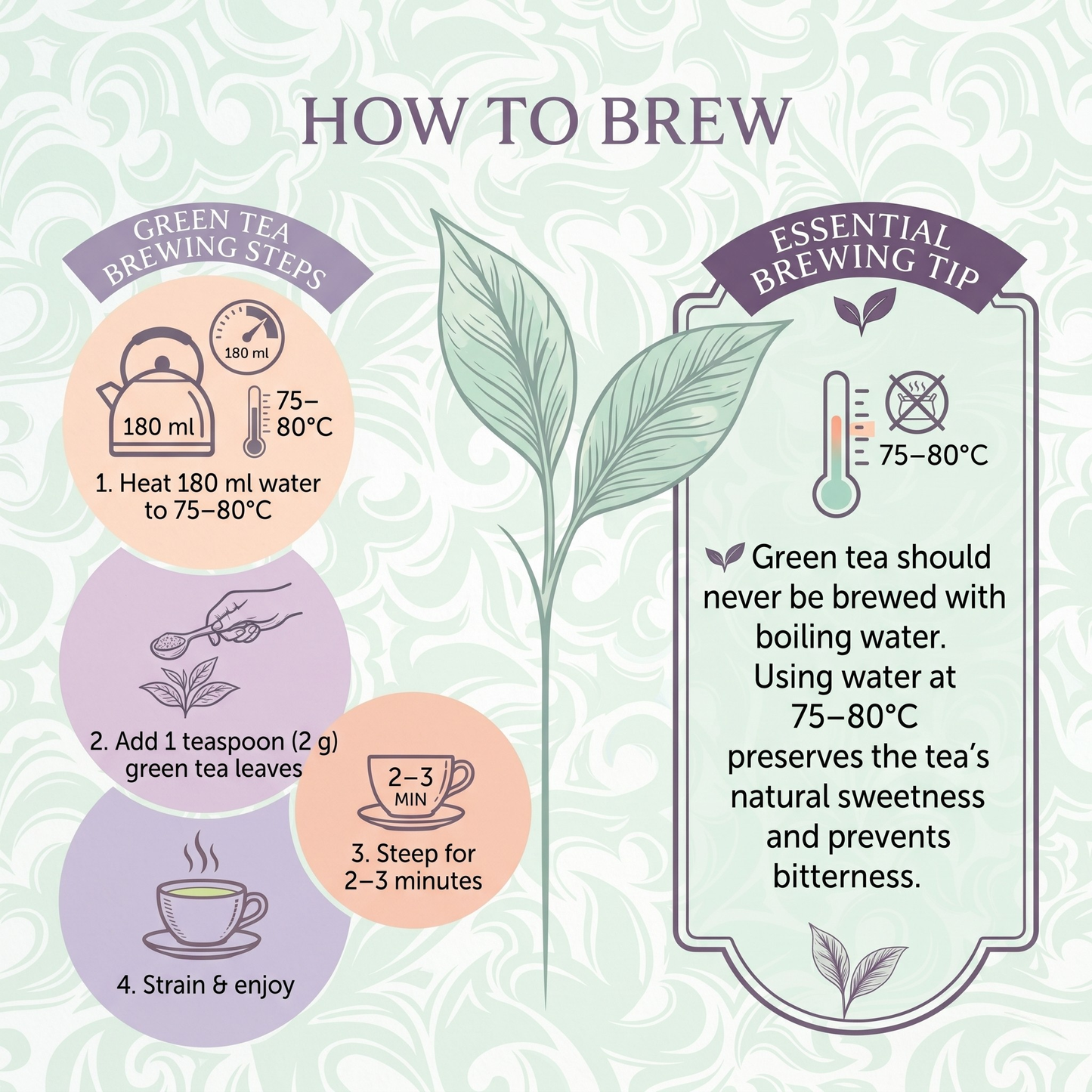 Green tea brewing guide and steeping instructions
