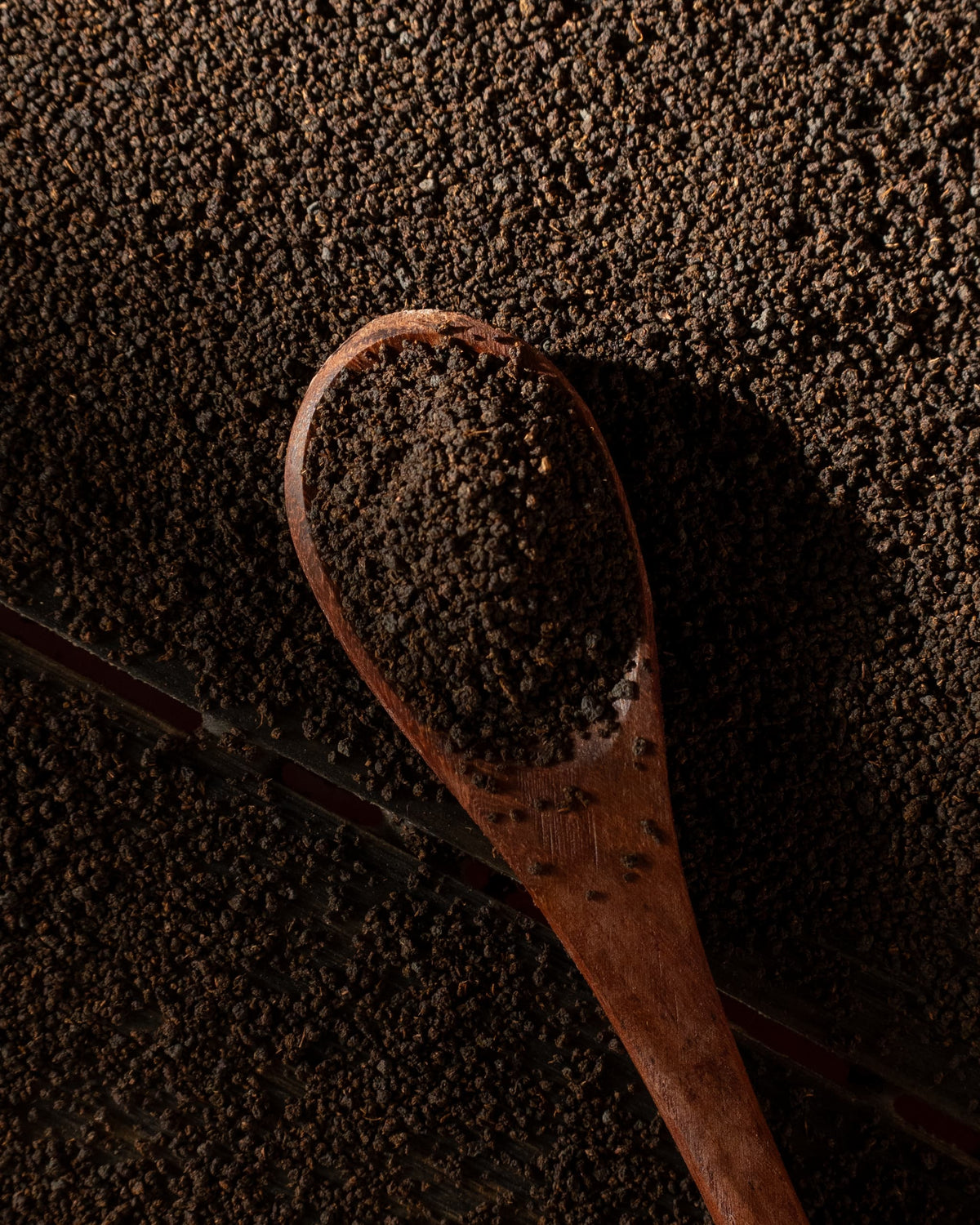 Velvet Brew - Signature Kadak Chai