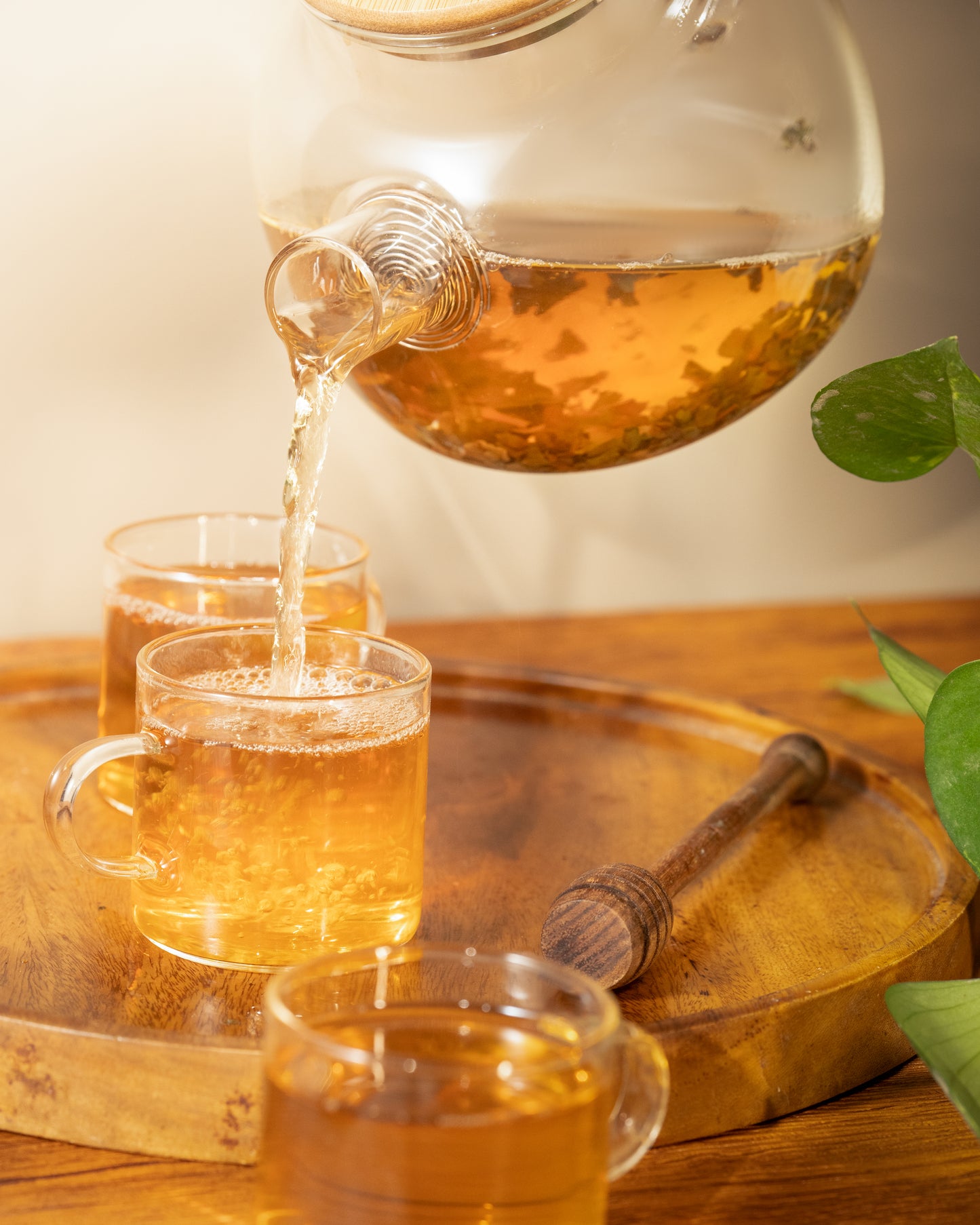 Petal Pure Jasmine – Jasmine Green Tea
